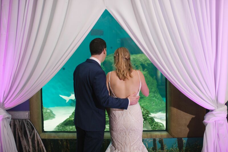 Sarasota wedding – Sarasota wedding planner – Mote Marine Laboratory and Aquarium – Mote Marine wedding- Sarasota luxury wedding planner -  Lido Beach Resort - bride and groom looking at aquariums
