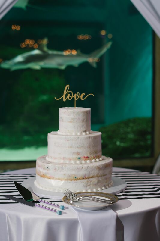 Sarasota wedding – Sarasota wedding planner – Mote Marine Laboratory and Aquarium – Mote Marine wedding- Sarasota luxury wedding planner -  Lido Beach Resort - naked wedding cake - funfetti naked wedding cake - funfetti wedding cake
