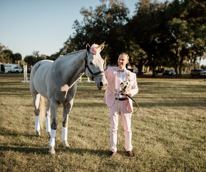 unicorn at a Venice Florida wedding
