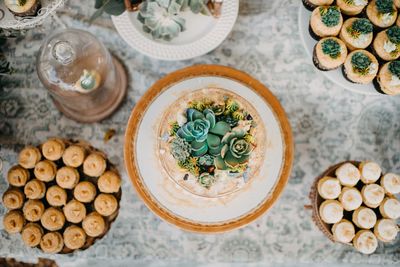 Jennifer Matteo Event Planning – Sarasota Wedding Planner- Selby Garden Wedding -rustic garden wedding -wedding cake with succulents