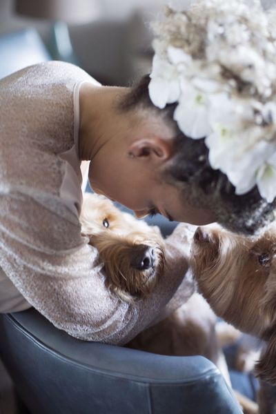 Jennifer Matteo Event Planning  - Sarasota wedding planner- Westin Sarasota – rooftop wedding-bride with her dogs