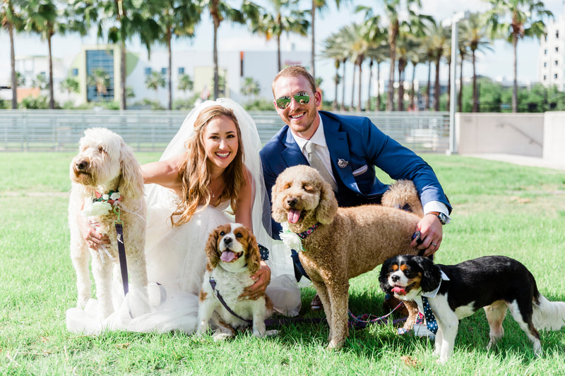 Jennifer Matteo Event Planning – Tampa wedding planner – Tampa wedding – downtown Tampa wedding – Kiley Gardens wedding ceremony- Armature Works wedding reception- bride and groom with dogs - dogs in wedding