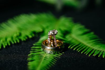 Sarasota wedding -Jennifer Matteo Event - The Diamond Vault -Planning - Sarasota Wedding Planner